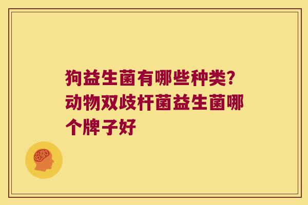 狗益生菌有哪些种类?动物双歧杆菌益生菌哪个牌子好 狗益生菌有哪些种类?动物双歧杆菌益生菌哪个牌子好