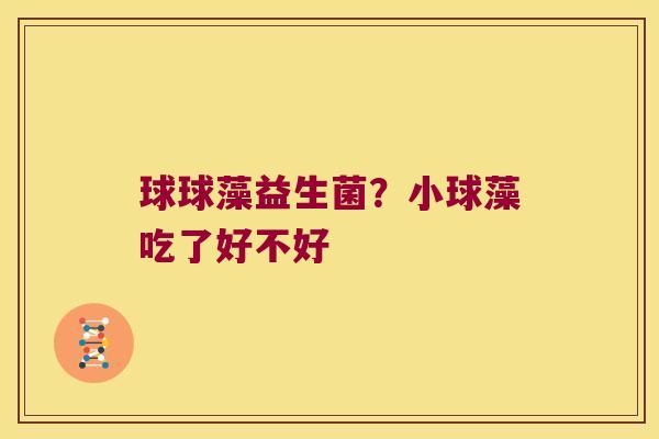 球球藻益生菌?小球藻吃了好不好 球球藻益生菌?小球藻吃了好不好