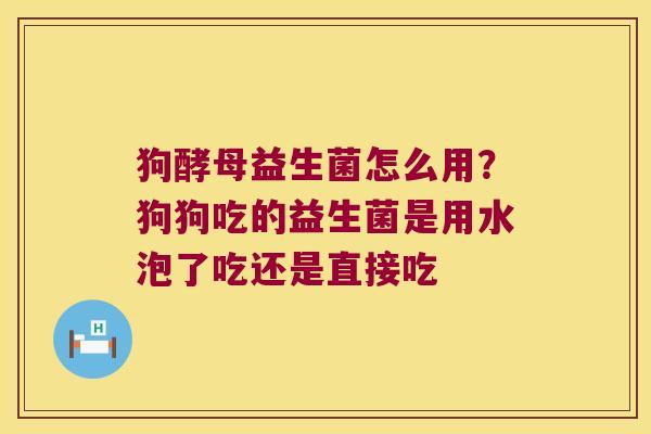 狗酵母益生菌怎么用？狗狗吃的益生菌是用水泡了吃还是直接吃