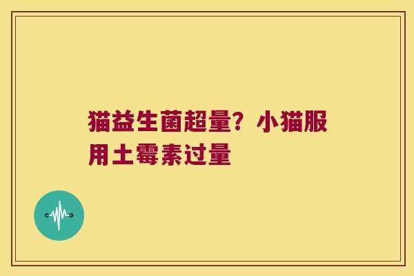 猫益生菌超量?小猫服用土霉素过量 猫益生菌超量?小猫服用土霉素过量