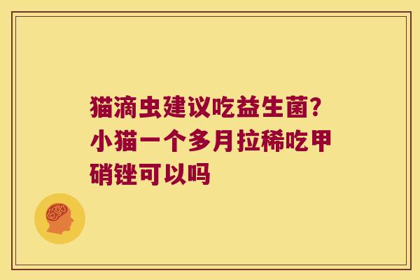 猫滴虫建议吃益生菌?小猫一个多月拉稀吃甲硝锉可以吗 猫滴虫建议吃益生菌?小猫一个多月拉稀吃甲硝锉可以吗