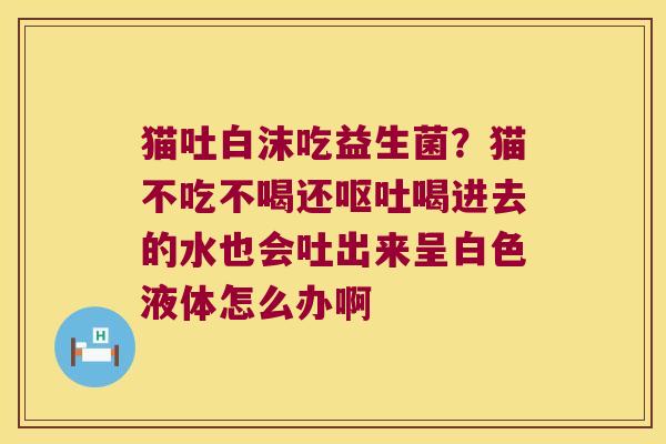 猫吐白沫吃益生菌？猫不吃不喝还呕吐喝进去的水也会吐出来呈白色液体怎么办啊