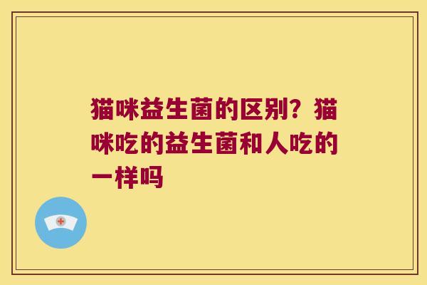 猫咪益生菌的区别?猫咪吃的益生菌和人吃的一样吗 猫咪益生菌的区别?猫咪吃的益生菌和人吃的一样吗