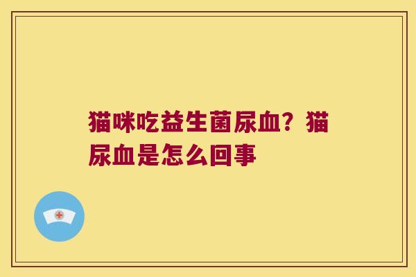 猫咪吃益生菌尿血？猫尿血是怎么回事