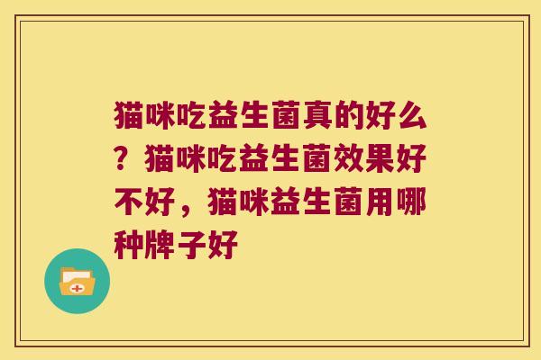 猫咪吃益生菌真的好么?猫咪吃益生菌效果好不好,猫咪益生菌用哪种牌子好 猫咪吃益生菌真的好么?猫咪吃益生菌效果好不好,猫咪益生菌用哪种牌子好