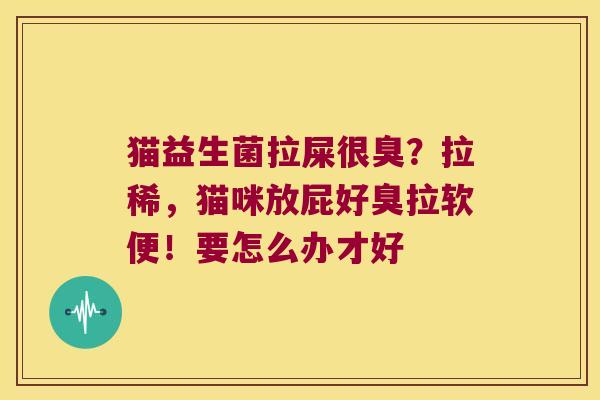 猫益生菌拉屎很臭？拉稀，猫咪放屁好臭拉软便！要怎么办才好