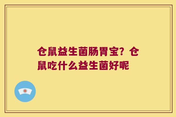 仓鼠益生菌肠胃宝？仓鼠吃什么益生菌好呢