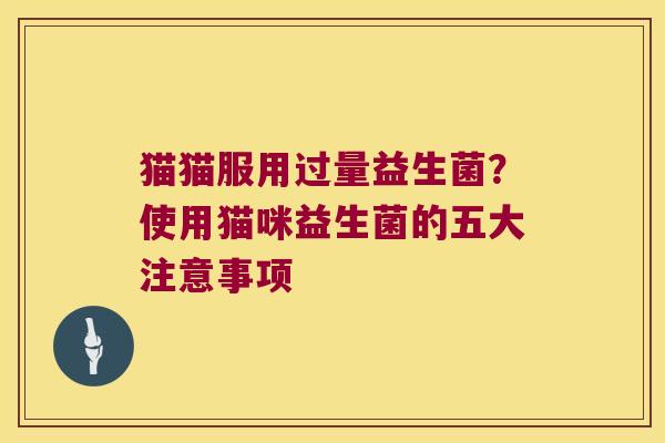 猫猫服用过量益生菌?使用猫咪益生菌的五大注意事项 猫猫服用过量益生菌?使用猫咪益生菌的五大注意事项