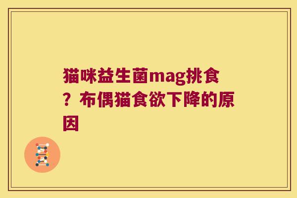 猫咪益生菌mag挑食？布偶猫食欲下降的原因