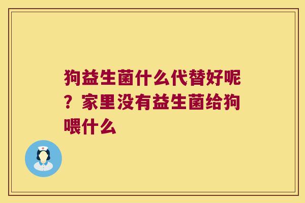 狗益生菌什么代替好呢？家里没有益生菌给狗喂什么