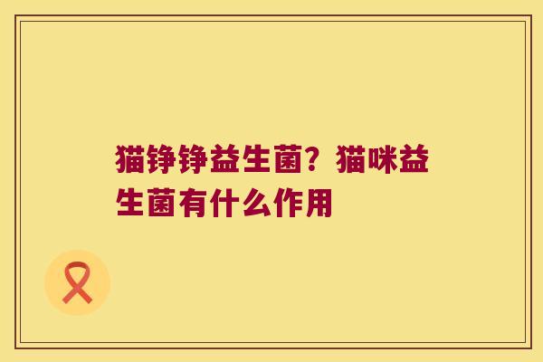 猫铮铮益生菌？猫咪益生菌有什么作用