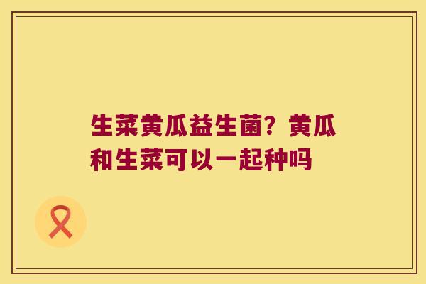 生菜黄瓜益生菌？黄瓜和生菜可以一起种吗