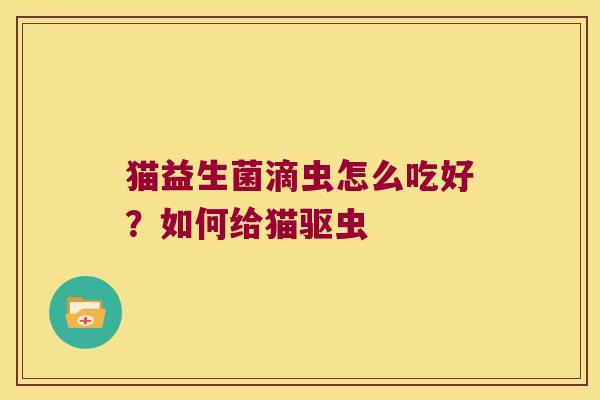 猫益生菌滴虫怎么吃好？如何给猫驱虫