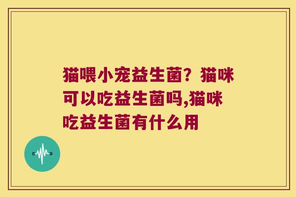 猫喂小宠益生菌?猫咪可以吃益生菌吗,猫咪吃益生菌有什么用 猫喂小宠益生菌?猫咪可以吃益生菌吗,猫咪吃益生菌有什么用