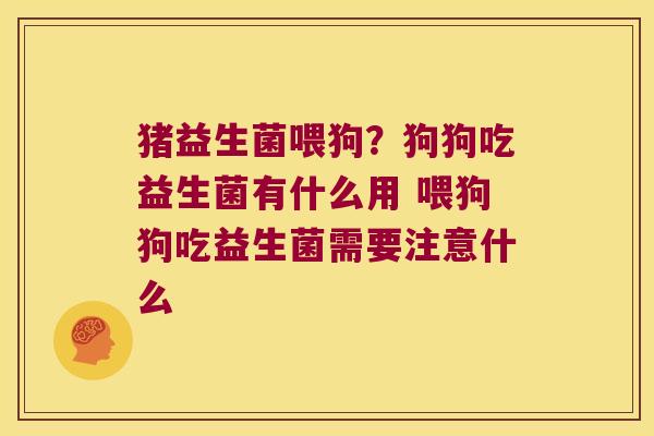 猪益生菌喂狗？狗狗吃益生菌有什么用 喂狗狗吃益生菌需要注意什么