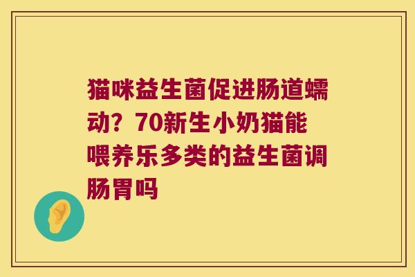 猫咪益生菌促进肠道蠕动?70新生小奶猫能喂养乐多类的益生菌调肠胃吗 猫咪益生菌促进肠道蠕动?70新生小奶猫能喂养乐多类的益生菌调肠胃吗