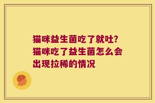 猫咪益生菌吃了就吐？猫咪吃了益生菌怎么会出现拉稀的情况