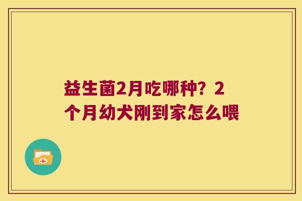 益生菌2月吃哪种？2个月幼犬刚到家怎么喂