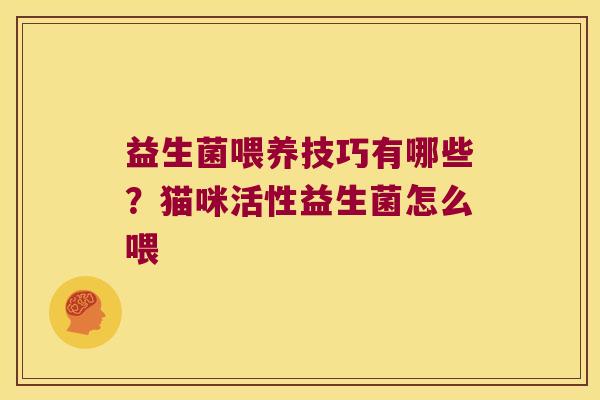 益生菌喂养技巧有哪些？猫咪活性益生菌怎么喂