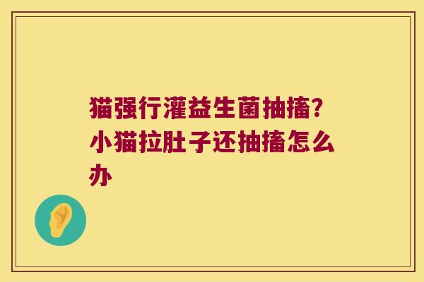 猫强行灌益生菌抽搐？小猫拉肚子还抽搐怎么办