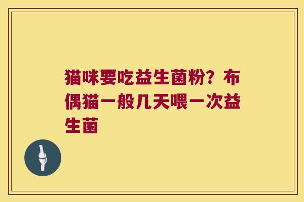 猫咪要吃益生菌粉？布偶猫一般几天喂一次益生菌