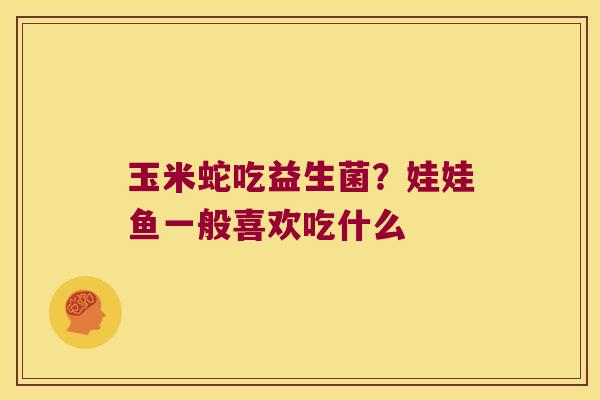 玉米蛇吃益生菌？娃娃鱼一般喜欢吃什么