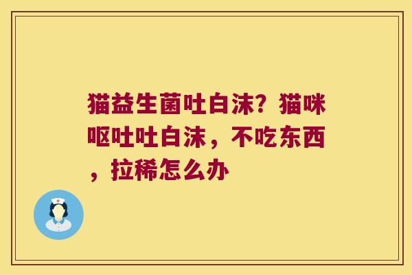 猫益生菌吐白沫？猫咪呕吐吐白沫，不吃东西，拉稀怎么办