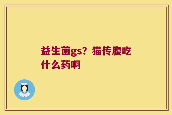 益生菌gs？猫传腹吃什么药啊