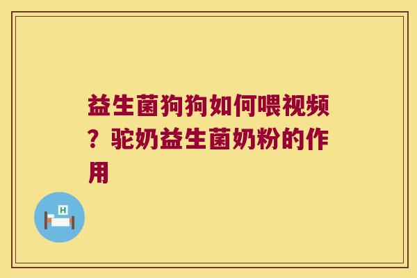益生菌狗狗如何喂视频？驼奶益生菌奶粉的作用