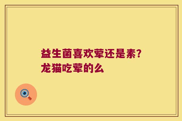 益生菌喜欢荤还是素?龙猫吃荤的么 益生菌喜欢荤还是素?龙猫吃荤的么