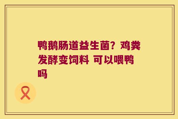 鸭鹅肠道益生菌？鸡粪发酵变饲料 可以喂鸭吗