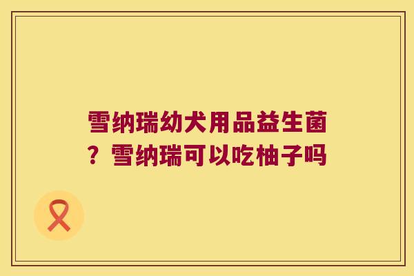 雪纳瑞幼犬用品益生菌?雪纳瑞可以吃柚子吗 雪纳瑞幼犬用品益生菌?雪纳瑞可以吃柚子吗