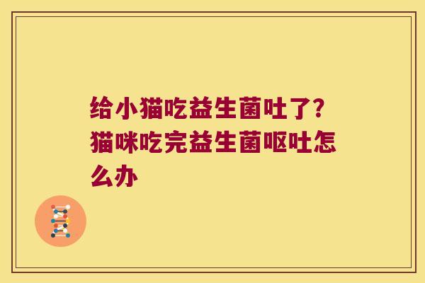 给小猫吃益生菌吐了？猫咪吃完益生菌呕吐怎么办