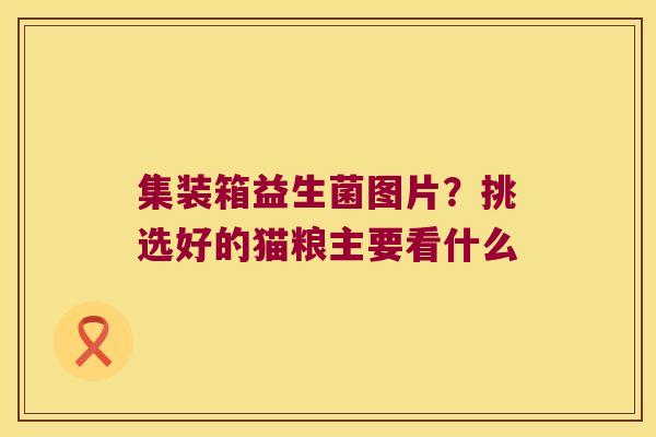 集装箱益生菌图片？挑选好的猫粮主要看什么