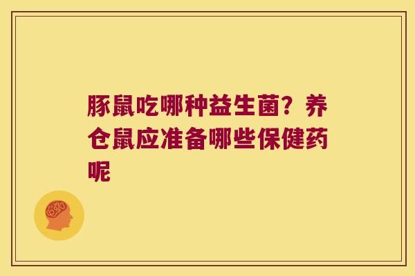豚鼠吃哪种益生菌？养仓鼠应准备哪些保健药呢