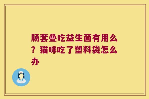 肠套叠吃益生菌有用么?猫咪吃了塑料袋怎么办 肠套叠吃益生菌有用么?猫咪吃了塑料袋怎么办