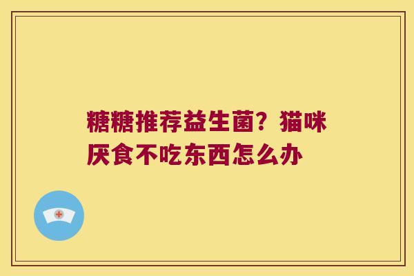糖糖推荐益生菌？猫咪厌食不吃东西怎么办