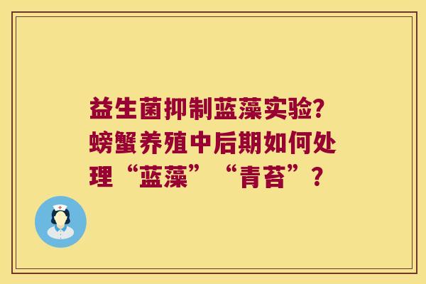 益生菌抑制蓝藻实验？螃蟹养殖中后期如何处理“蓝藻”“青苔”？
