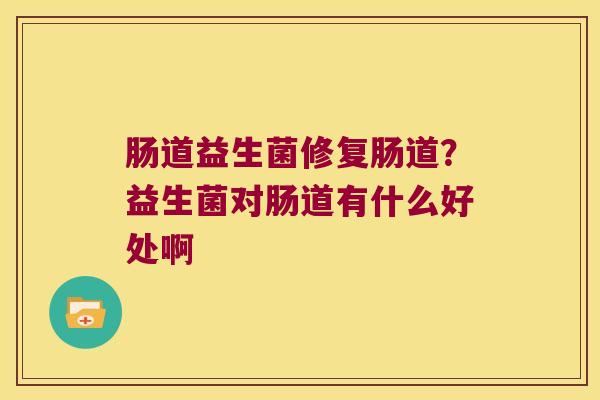 肠道益生菌修复肠道？益生菌对肠道有什么好处啊