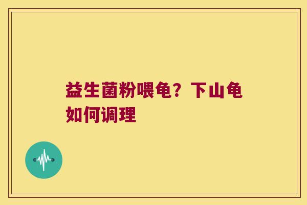 益生菌粉喂龟?下山龟如何调理 益生菌粉喂龟?下山龟如何调理