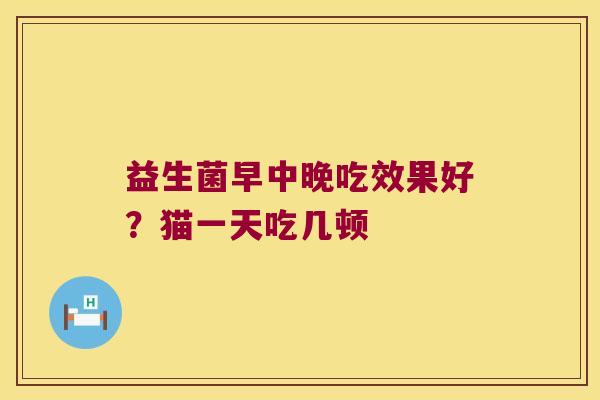 益生菌早中晚吃效果好？猫一天吃几顿