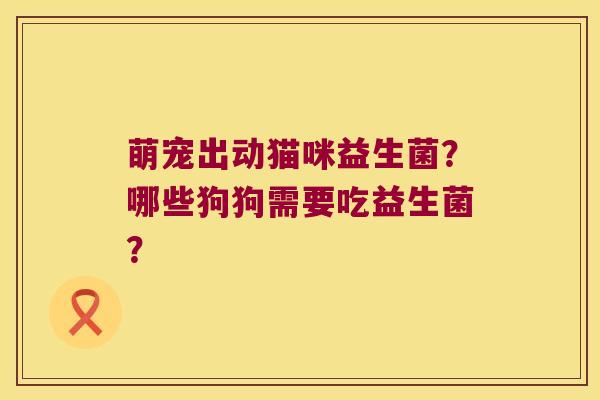 萌宠出动猫咪益生菌？哪些狗狗需要吃益生菌？