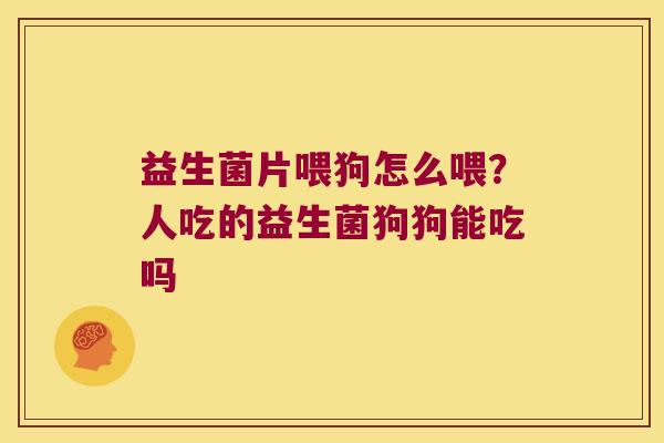 益生菌片喂狗怎么喂？人吃的益生菌狗狗能吃吗