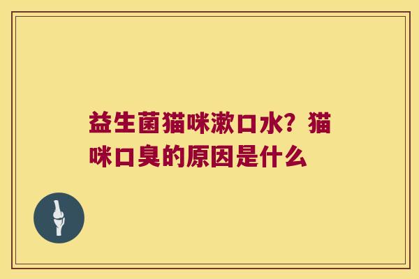 益生菌猫咪漱口水？猫咪口臭的原因是什么