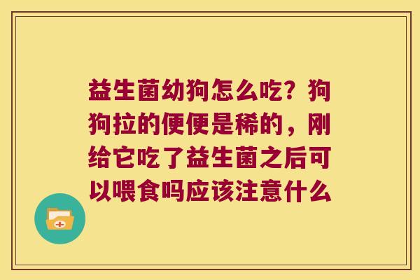 益生菌幼狗怎么吃？狗狗拉的便便是稀的，刚给它吃了益生菌之后可以喂食吗应该注意什么