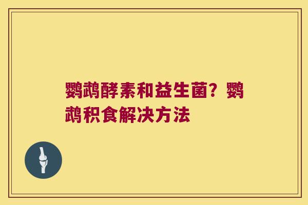 鹦鹉酵素和益生菌？鹦鹉积食解决方法