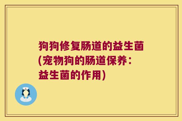 狗狗修复肠道的益生菌(宠物狗的肠道保养：益生菌的作用)