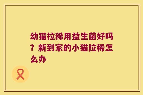 幼猫拉稀用益生菌好吗？新到家的小猫拉稀怎么办
