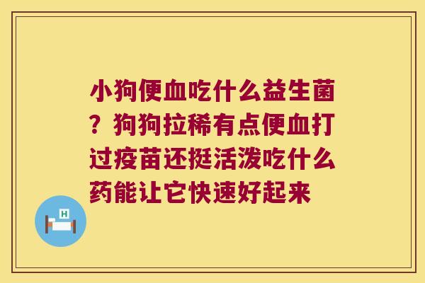 小狗便血吃什么益生菌？狗狗拉稀有点便血打过疫苗还挺活泼吃什么药能让它快速好起来