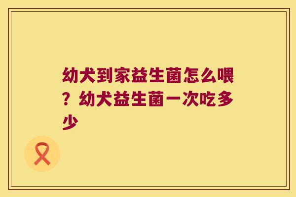 幼犬到家益生菌怎么喂？幼犬益生菌一次吃多少